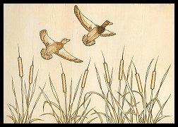 Finished image of Mallards in Flight